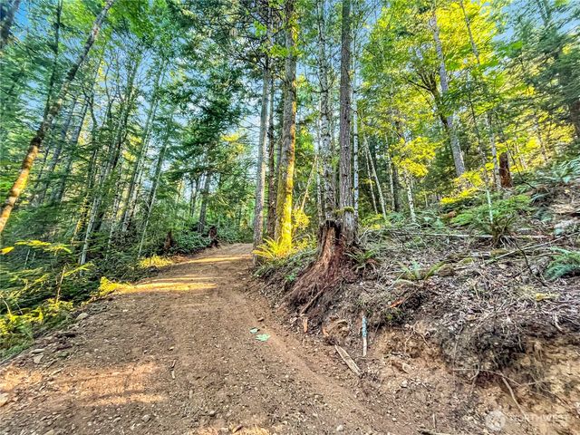 4840 N Lake Cushman Road, Hoodsport, WA 98548