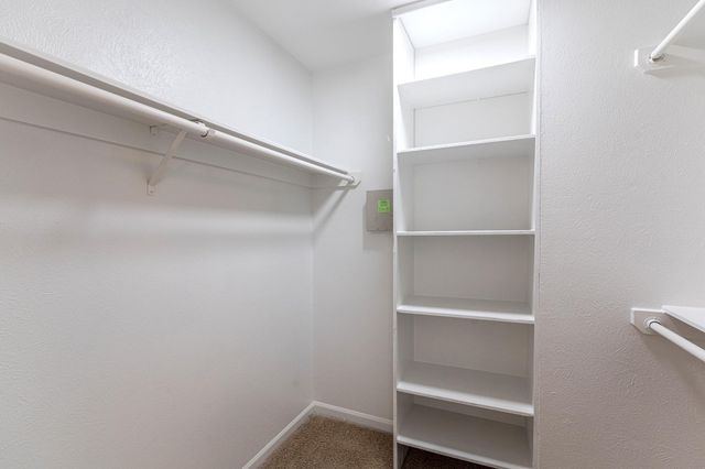 34 E Trillium Circle, The Woodlands, TX 77381