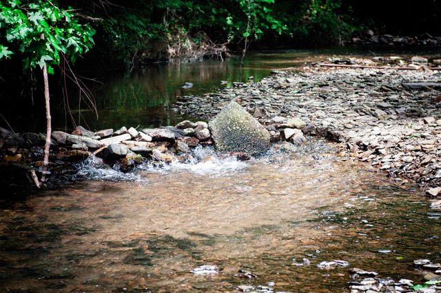 104 Cove Chapel Road, Springfield, AR 72157