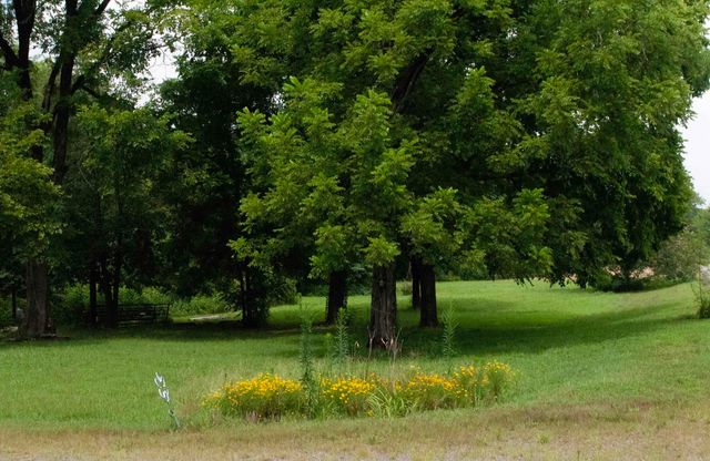 104 Cove Chapel Road, Springfield, AR 72157