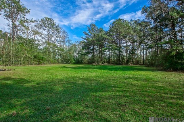 32730 Bill Williams Rd, Walker, LA 70785