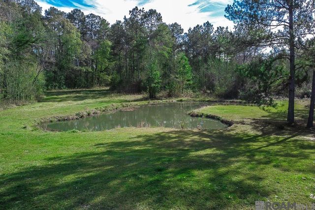 32730 Bill Williams Rd, Walker, LA 70785