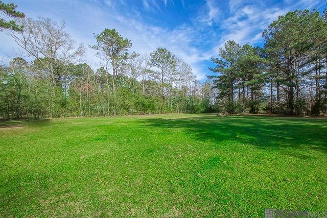32730 Bill Williams Rd, Walker, LA 70785