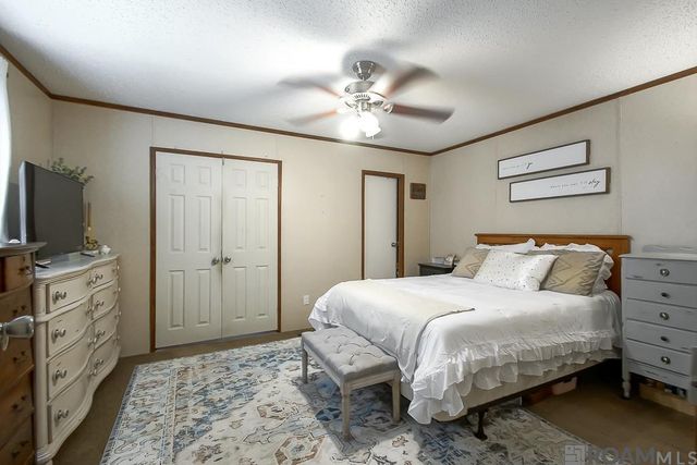 32730 Bill Williams Rd, Walker, LA 70785