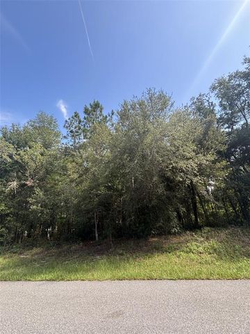 1661 W DATURA LANE, Citrus Springs, FL 34434