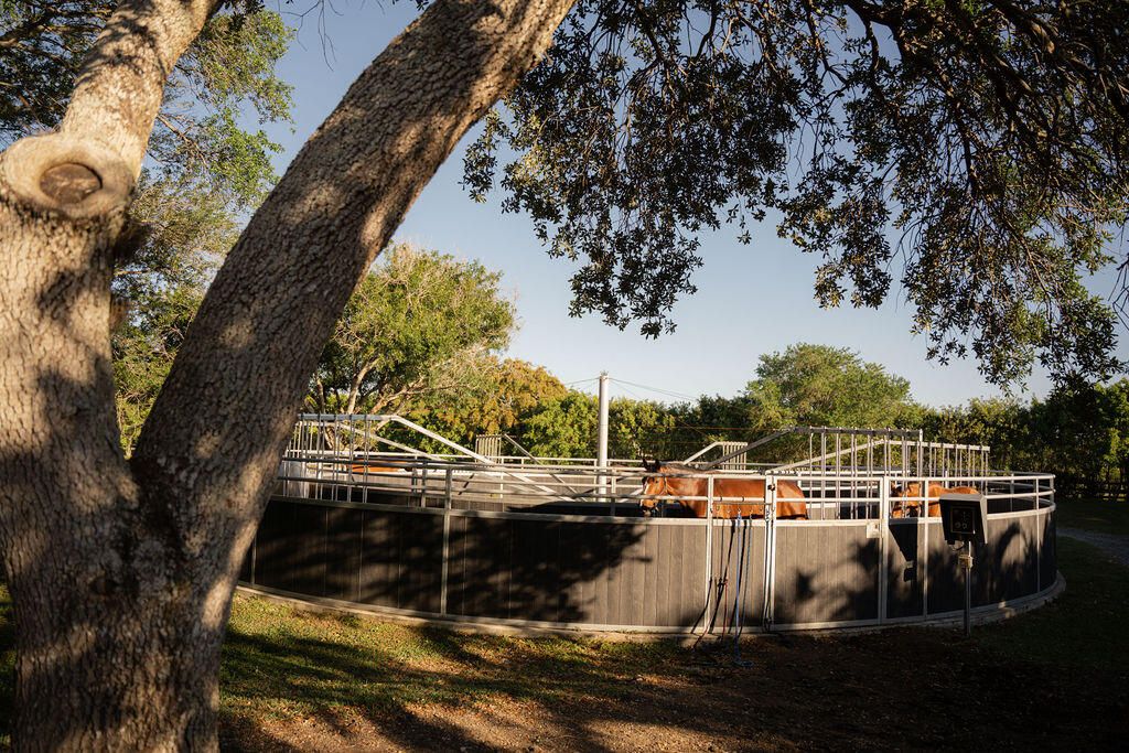 Image 17 of property listing at 2780 Skipiks Way, Wellington, FL 33470