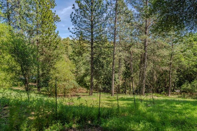 18848 State Highway 88, Pine Grove, CA 95665