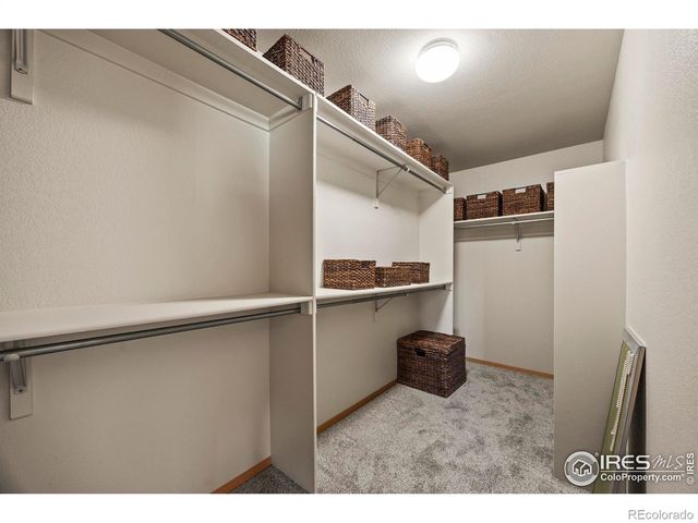 486 Natasha Court, Loveland, CO 80537