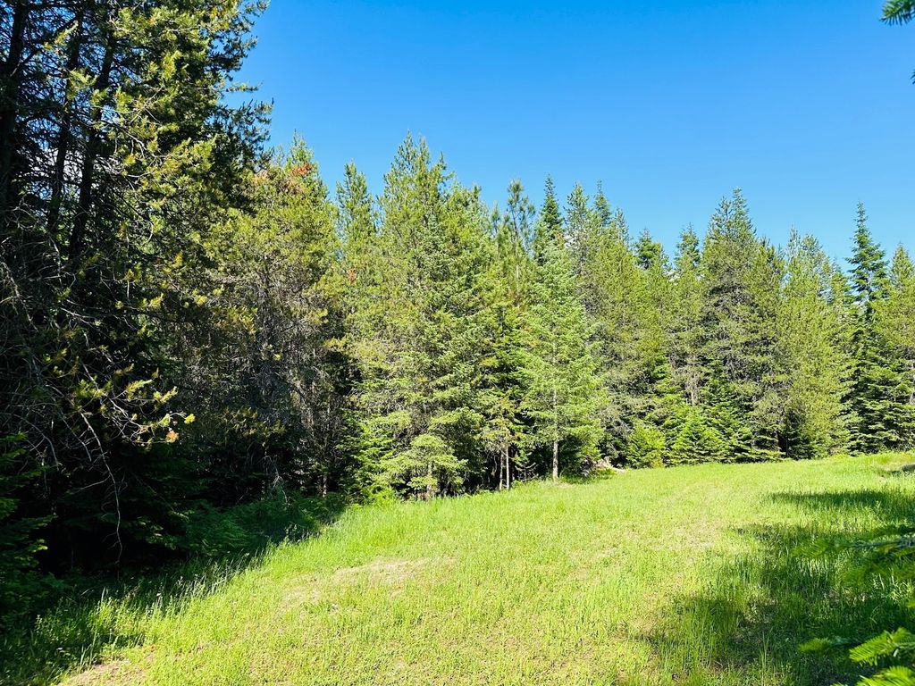 148 RICE DRAW LANE, HERON, MT 59844, HERON, MT Clearwater Properties