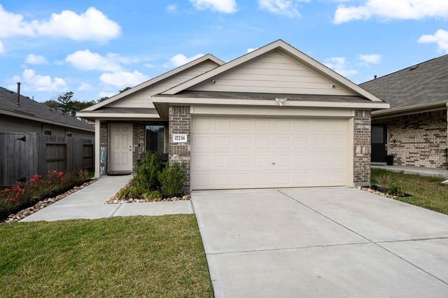 17238 Black Ash Court, New Caney, TX 77357