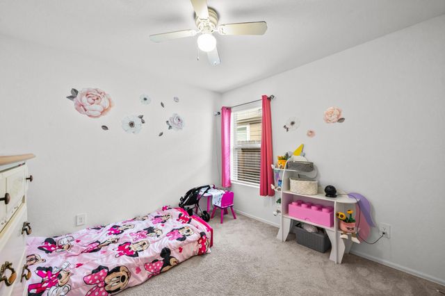 17238 Black Ash Court, New Caney, TX 77357