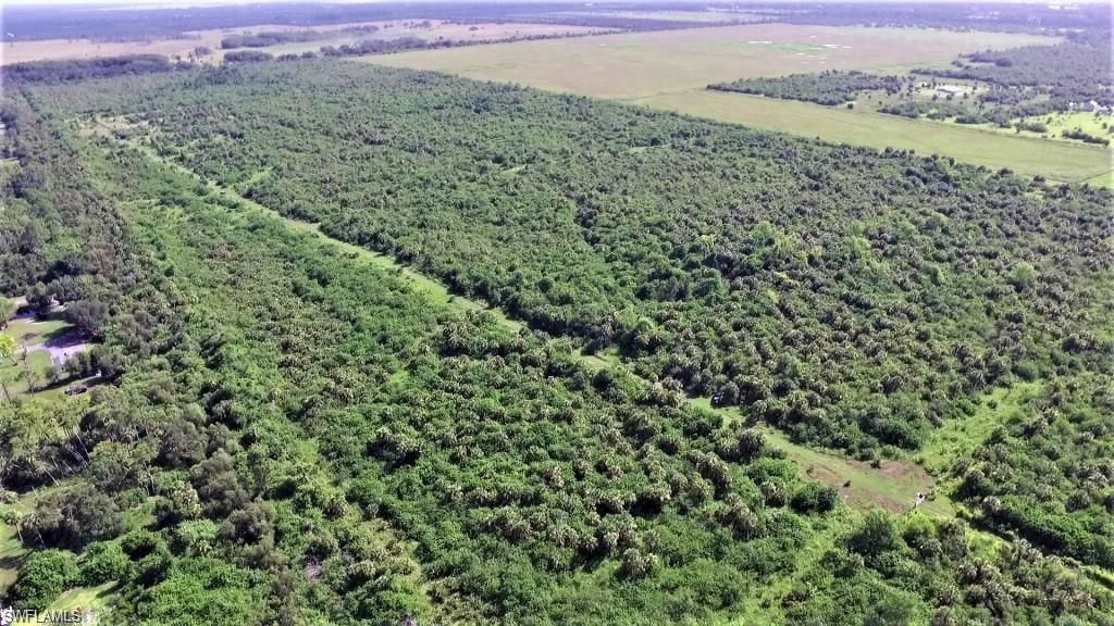 8210 CR 78 RD, LABELLE, FL 33935 — photo 2
