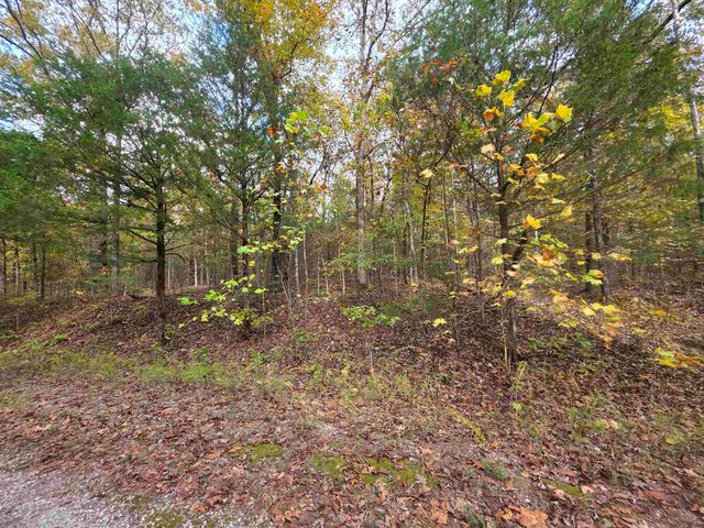 L-5,6 B- 3 Apoxsee Drive, Cherokee Village, AR 72529
