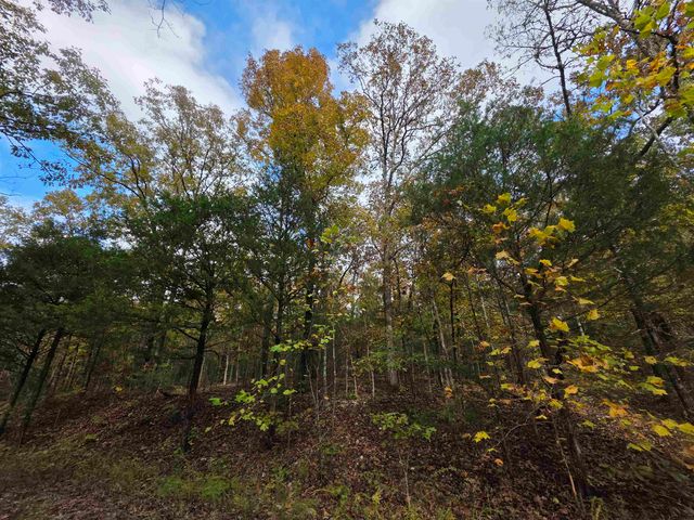 L-5,6 B- 3 Apoxsee Drive, Cherokee Village, AR 72529