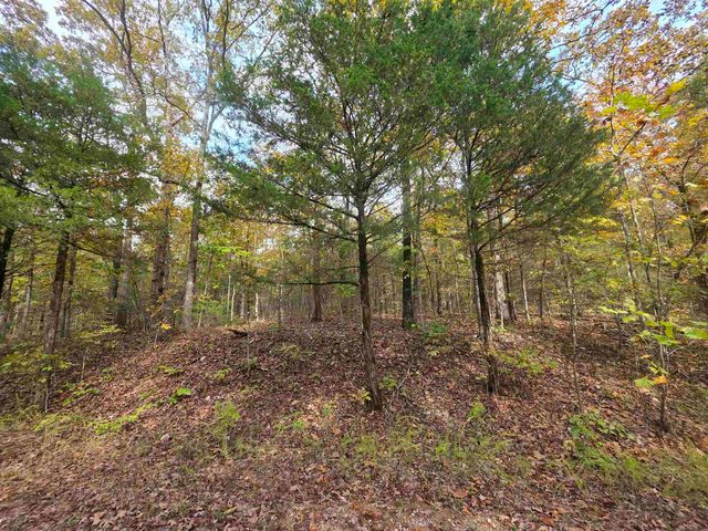 L-5,6 B- 3 Apoxsee Drive, Cherokee Village, AR 72529