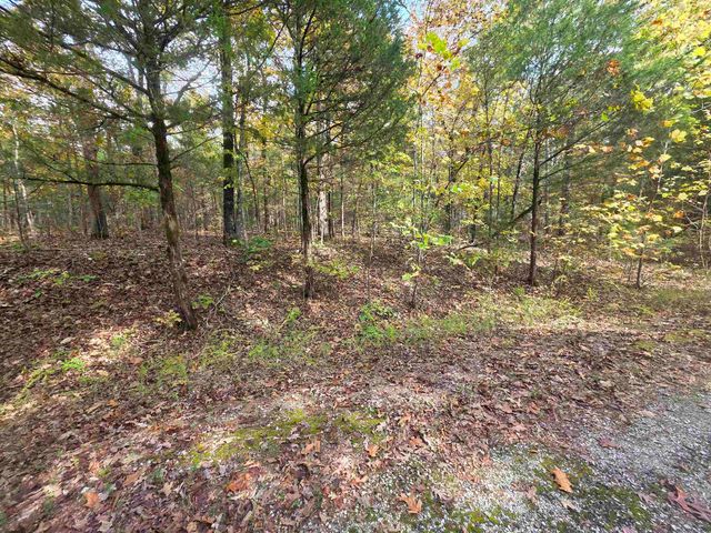 L-5,6 B- 3 Apoxsee Drive, Cherokee Village, AR 72529