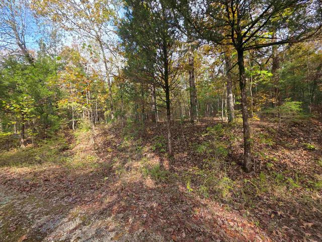 L-5,6 B- 3 Apoxsee Drive, Cherokee Village, AR 72529
