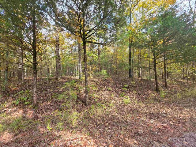 L-5,6 B- 3 Apoxsee Drive, Cherokee Village, AR 72529
