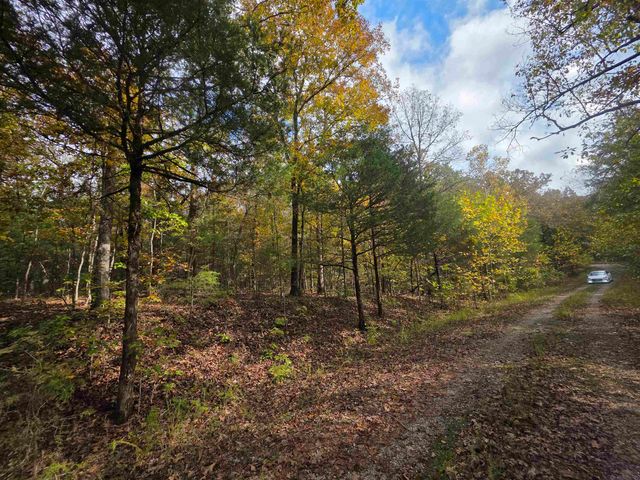 L-5,6 B- 3 Apoxsee Drive, Cherokee Village, AR 72529