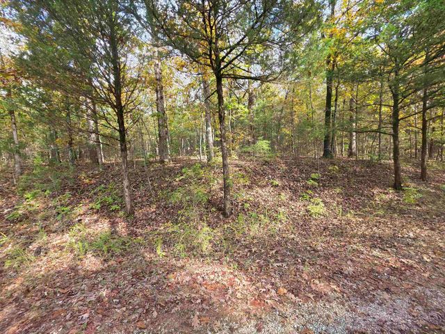 L-5,6 B- 3 Apoxsee Drive, Cherokee Village, AR 72529