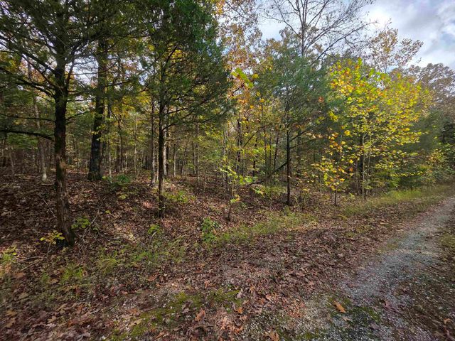 L-5,6 B- 3 Apoxsee Drive, Cherokee Village, AR 72529