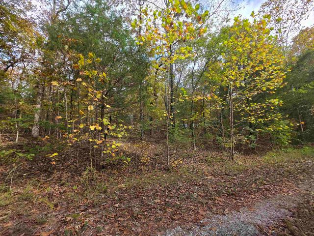 L-5,6 B- 3 Apoxsee Drive, Cherokee Village, AR 72529