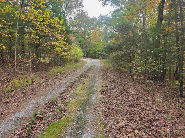 L-5,6 B- 3 Apoxsee Drive, Cherokee Village, AR 72529