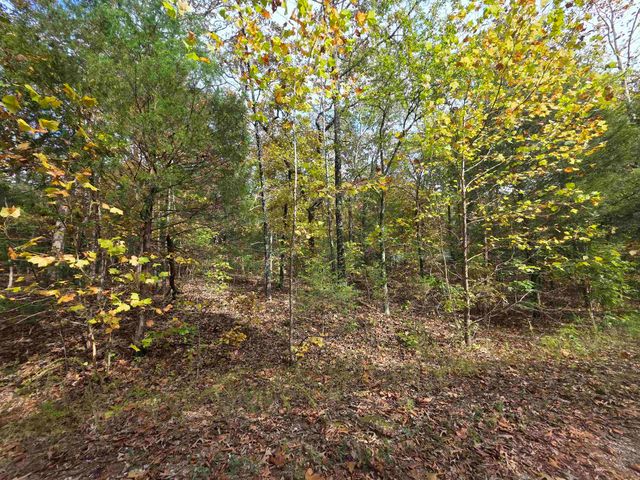 L-5,6 B- 3 Apoxsee Drive, Cherokee Village, AR 72529