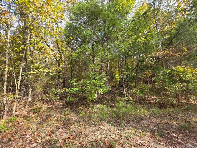 L-5,6 B- 3 Apoxsee Drive, Cherokee Village, AR 72529