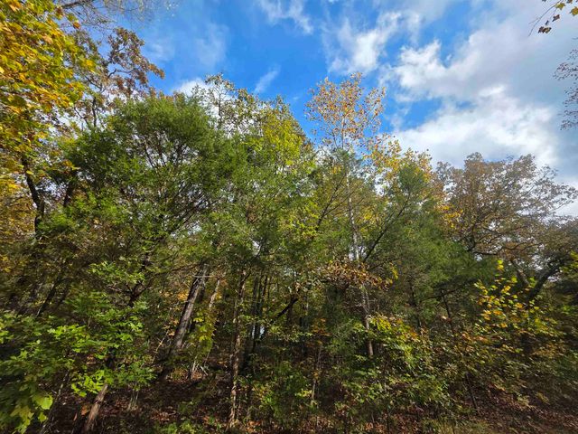 L-5,6 B- 3 Apoxsee Drive, Cherokee Village, AR 72529