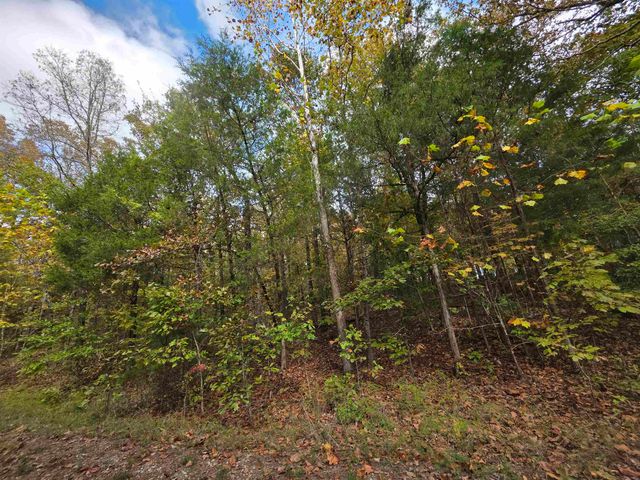 L-5,6 B- 3 Apoxsee Drive, Cherokee Village, AR 72529