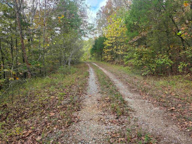 L-5,6 B- 3 Apoxsee Drive, Cherokee Village, AR 72529