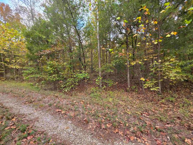 L-5,6 B- 3 Apoxsee Drive, Cherokee Village, AR 72529