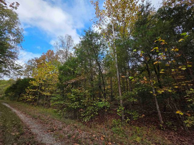 L-5,6 B- 3 Apoxsee Drive, Cherokee Village, AR 72529