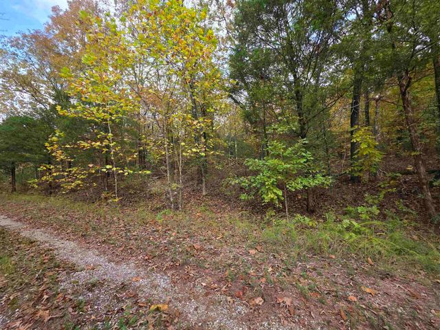 L-5,6 B- 3 Apoxsee Drive, Cherokee Village, AR 72529