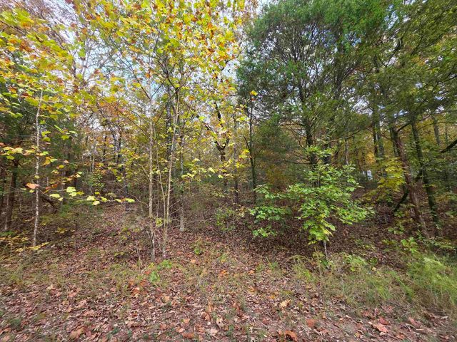 L-5,6 B- 3 Apoxsee Drive, Cherokee Village, AR 72529
