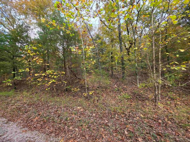 L-5,6 B- 3 Apoxsee Drive, Cherokee Village, AR 72529