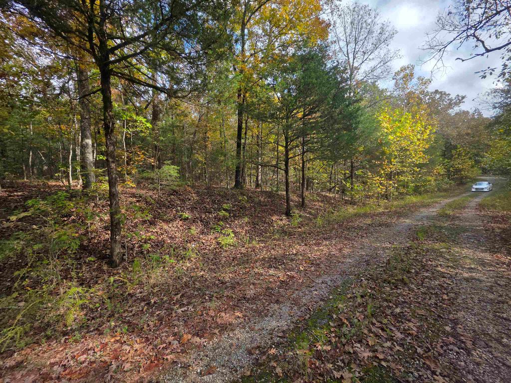 L-5,6 B- 3 Apoxsee Drive, Cherokee Village, AR 72529