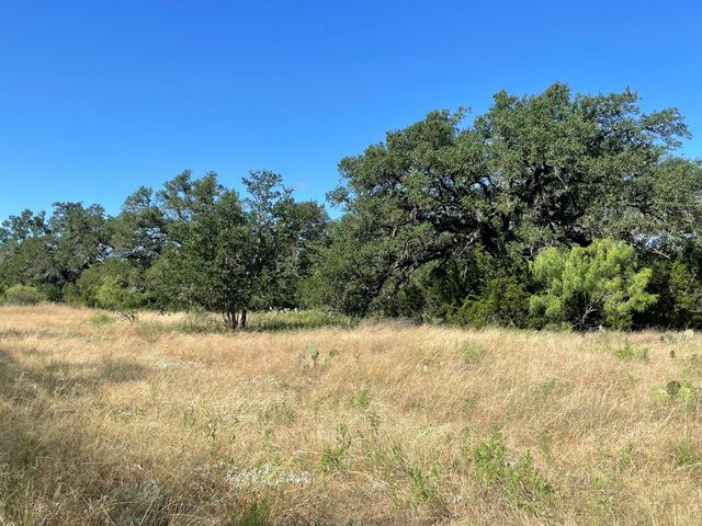 Lot 200 Swamp Creek Cove, Burnet, TX 78611