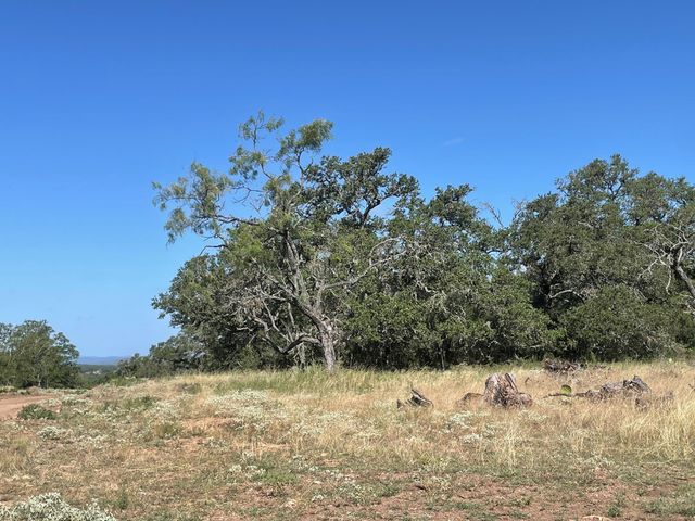 Lot 200 Swamp Creek Cove, Burnet, TX 78611