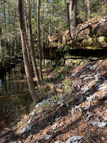 528 St Anthony Dr, Jamestown, TN 38556