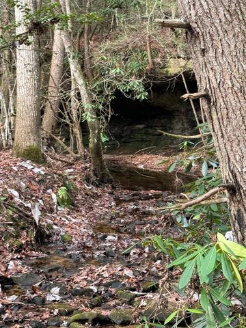 528 St Anthony Dr, Jamestown, TN 38556