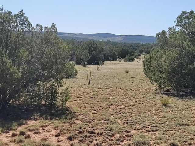 105 Vista Montana Road, Estancia, NM 87016