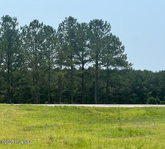 118 Pond Brothers Road, Hamlet, NC 28345