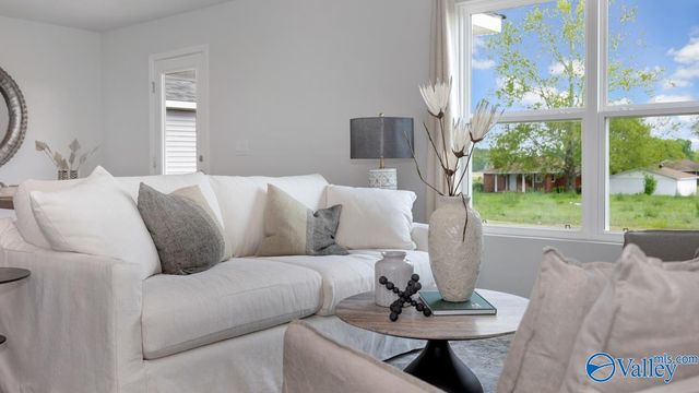 118 Jonboy Avenue, New Hope, AL 35760