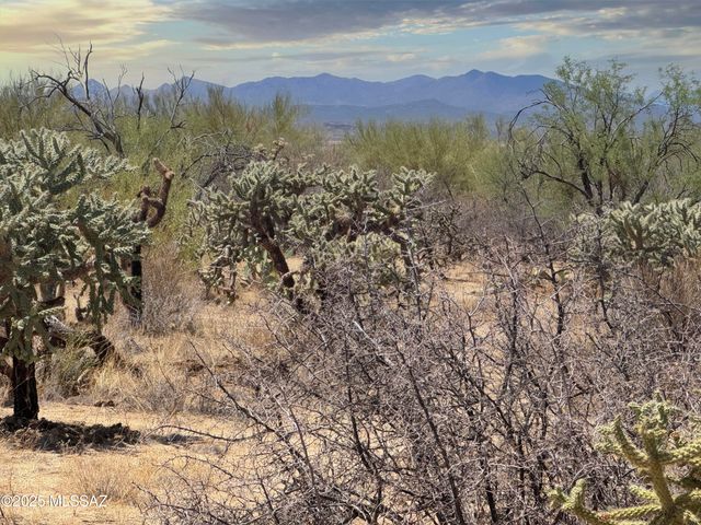 14943 W Parkin Lane, Tucson, AZ 85736