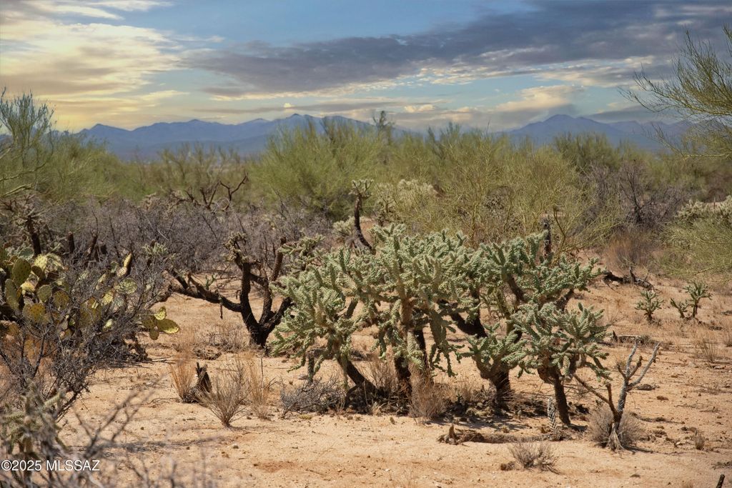 14943 W Parkin Lane, Tucson, AZ 85736