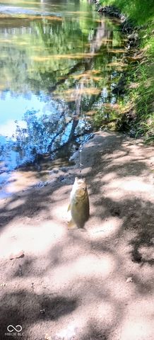 26595 Mount Pleasant Road, Arcadia, IN 46030