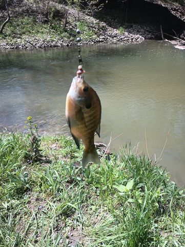 26595 Mount Pleasant Road, Arcadia, IN 46030