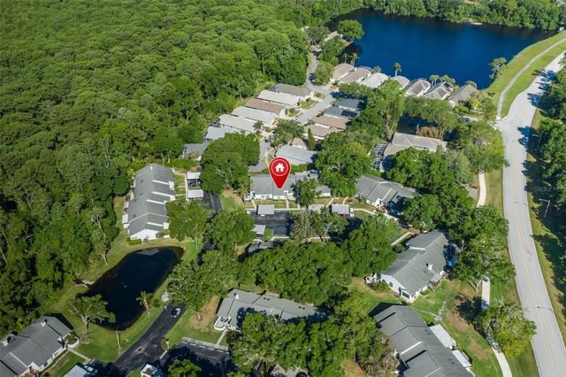 3843 GOLDFINCH COURT, Palm Harbor, FL 34685